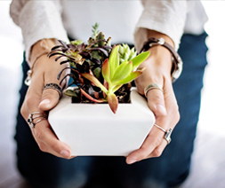 Professional Photography